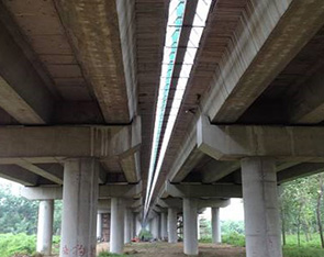 xc sports(�й���)-�ٷ���վ